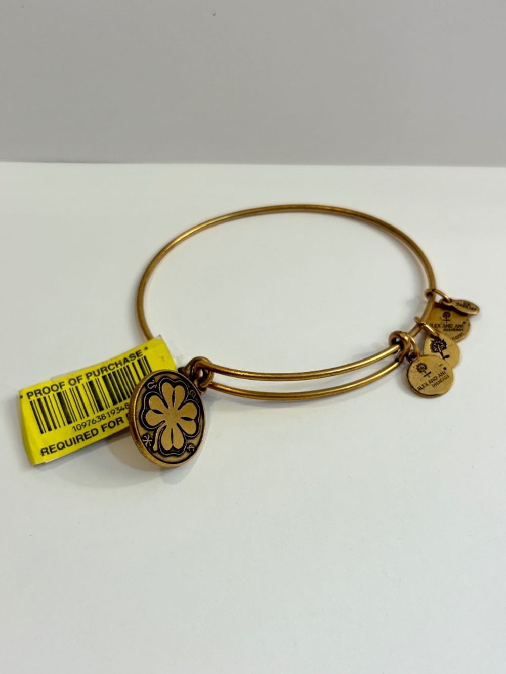 Alex and Ani “Energy” Bangel Charm Bracelet